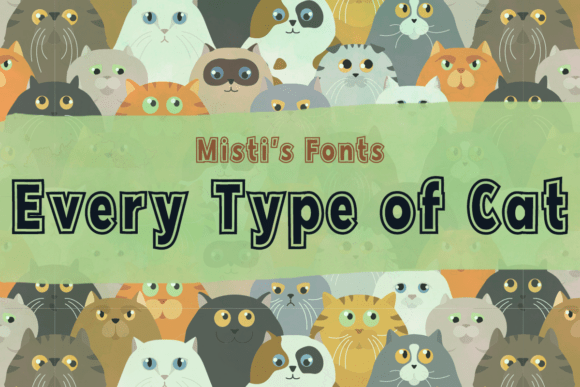 Every Type of Cat: A Designer's Real-World Review